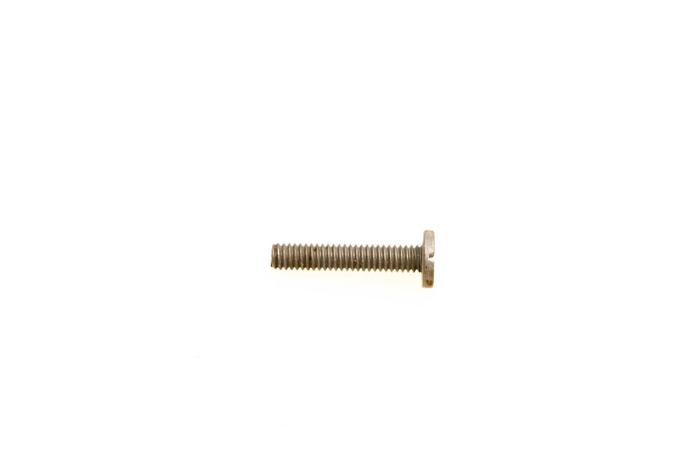 OMC 313125 Screw NOS