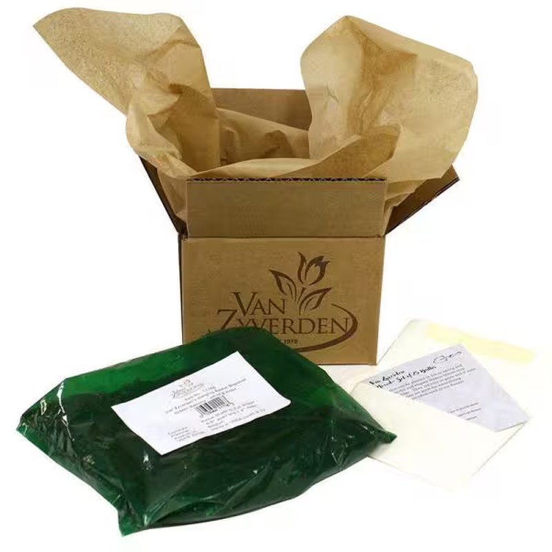 Hostas Premium Blend Roots (6-Set)