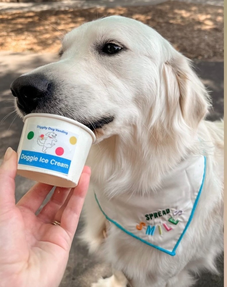 Doggie Ice Cream Vending Machine