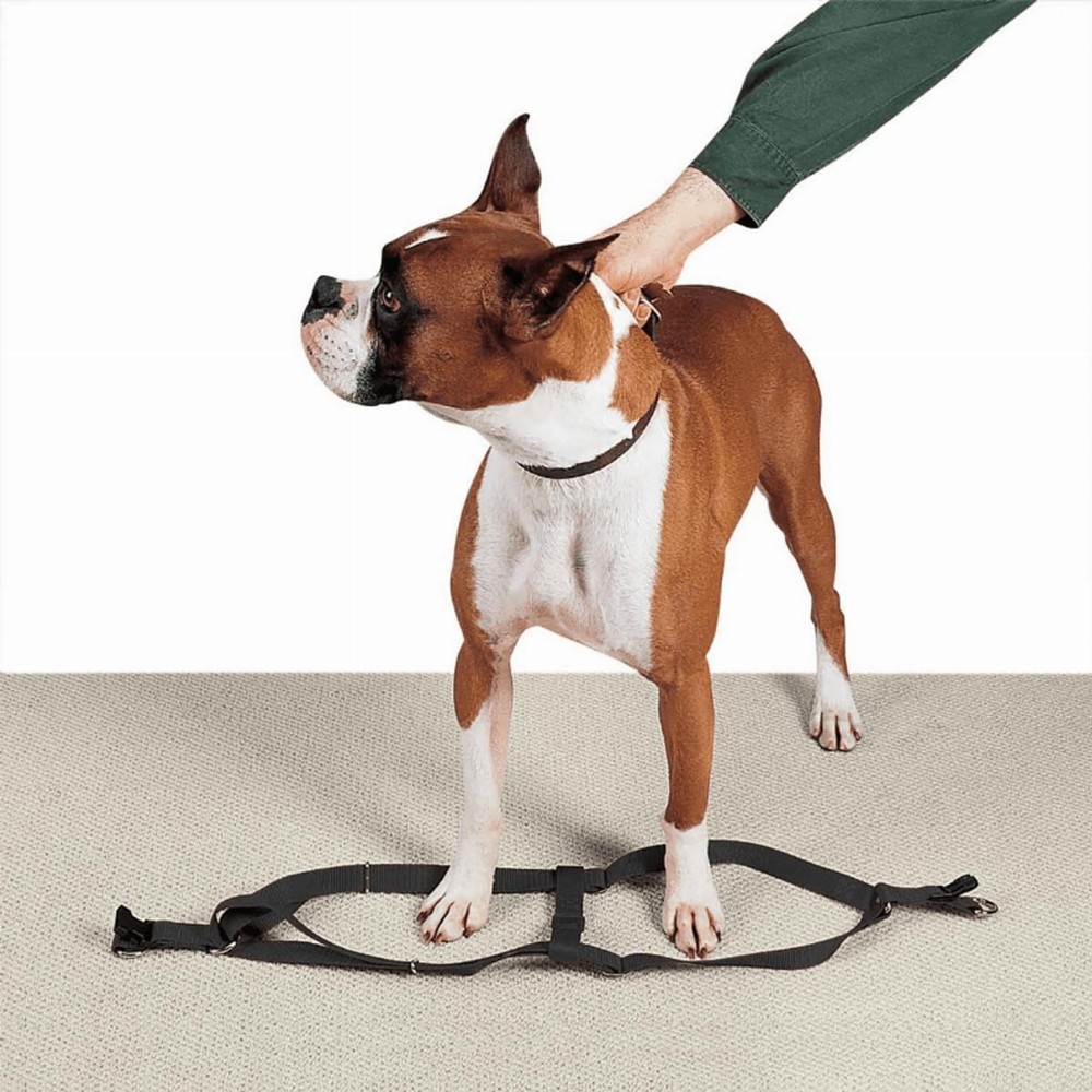 2 Step Pet Harness