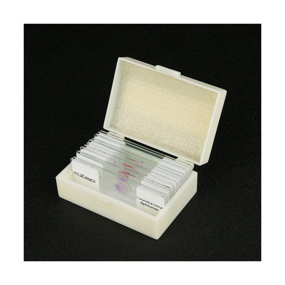 Prepared Bacterial Pathogens Microscope Slide Set, 12pcs Demonstrates The Bac...