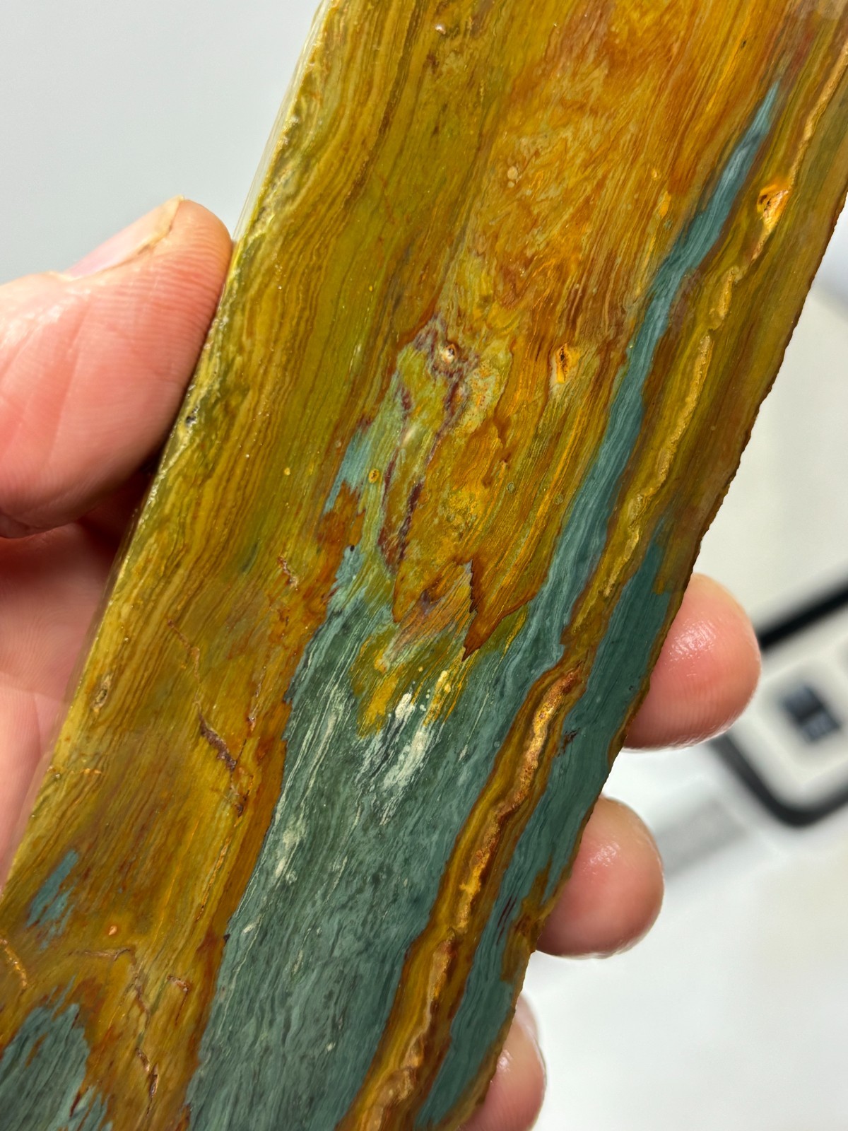 Gary Green Caldera Freedom Jasper Slab Cabbing Lapidary Combo Ship Avail