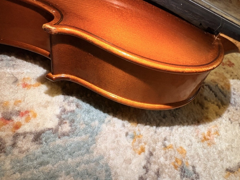 Voila Size 14 Student