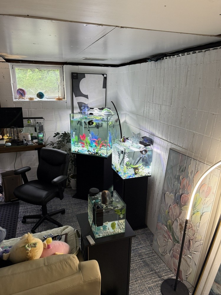Cube Aquarium 65 Gallon Fish Tank