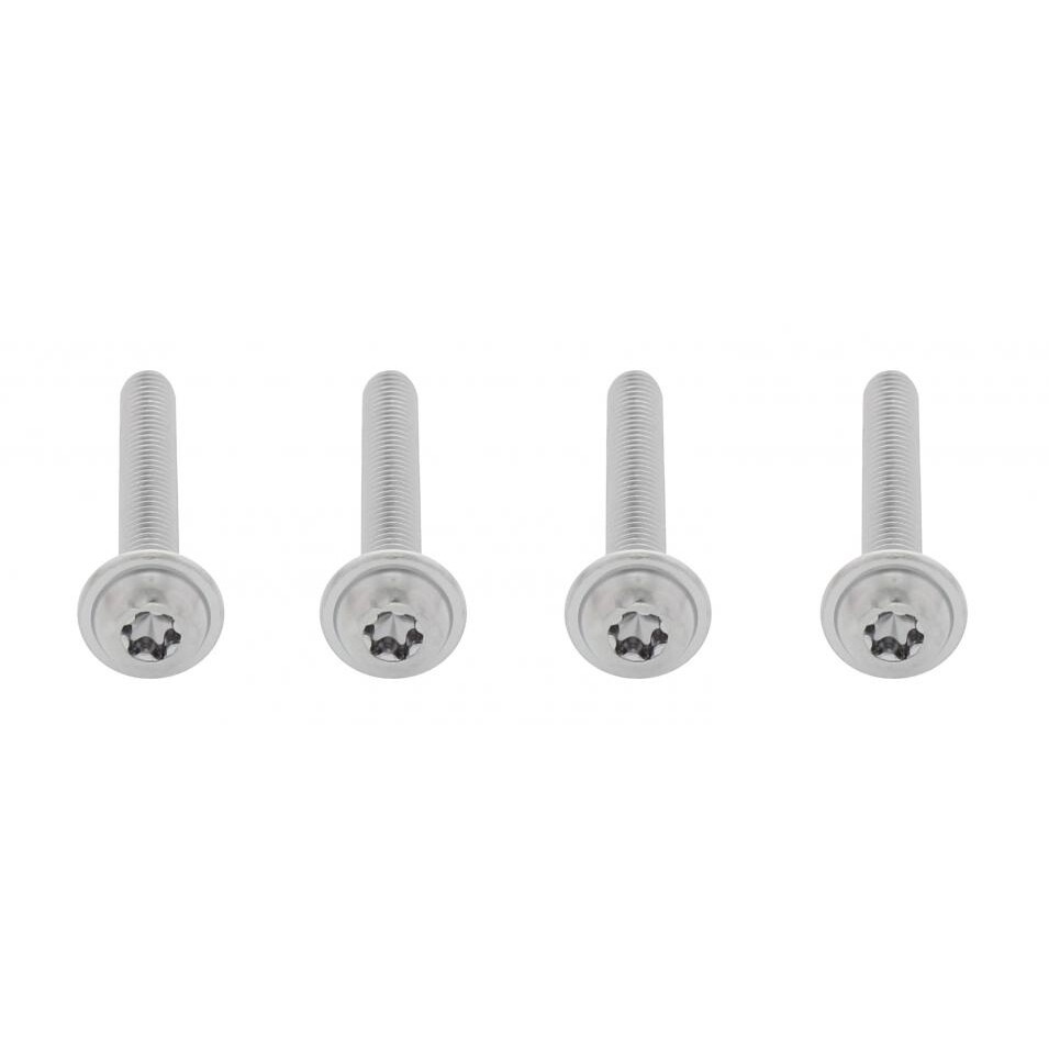Freightliner Cascadia Chrome Grille Screw Set