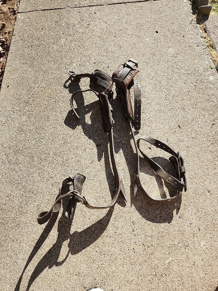 Buckingham Lineman Climbing Gear Set Pole Climbing Tree