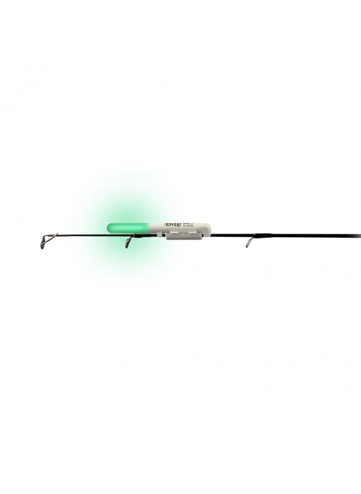 Feeder light iBite MS Tip Light