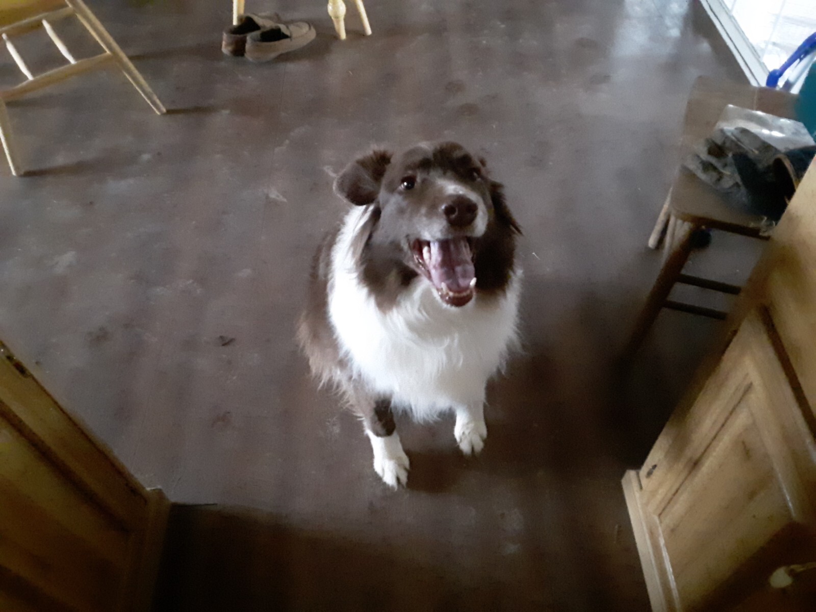 Rio loves worms , 150 Red Wiggler mix 100% live deliver 2day fed x delivery