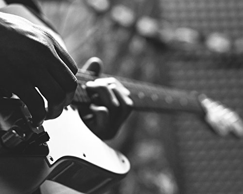 PRO-346 Rounded Triangle Plec 12-Piece Shell 1.5mm