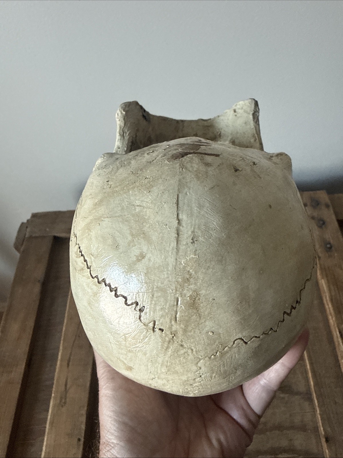 Vintage Fake Life Size Human Skull - skeleton anatomy oddity