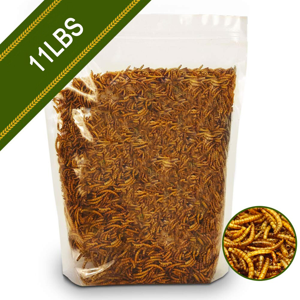 Dried Mealworms Bulk Non-GMO Organic for Wild Blue Bird Food Chickens Hen Treats