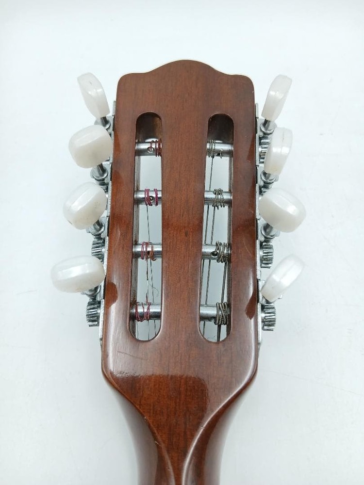 Suzuki violin mandolin with hard case