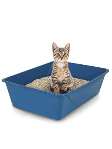 Cat Owner Medium Litter Box Open Design Blue Mesa Mouse Grey