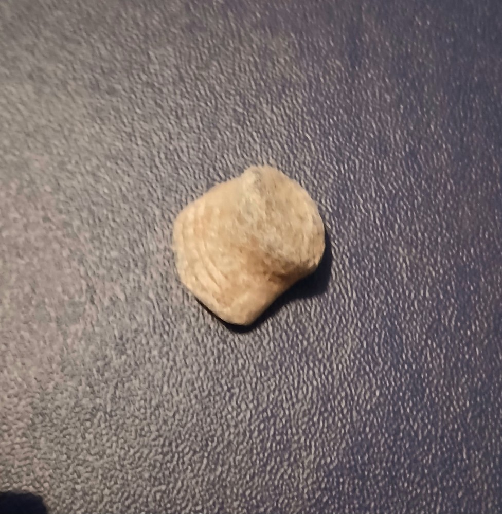 5 Fired Civil War "Pancake" Bullets