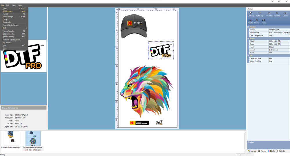 DTF RIP V11 Software Desktop Version USB Flash Drive/Dongle