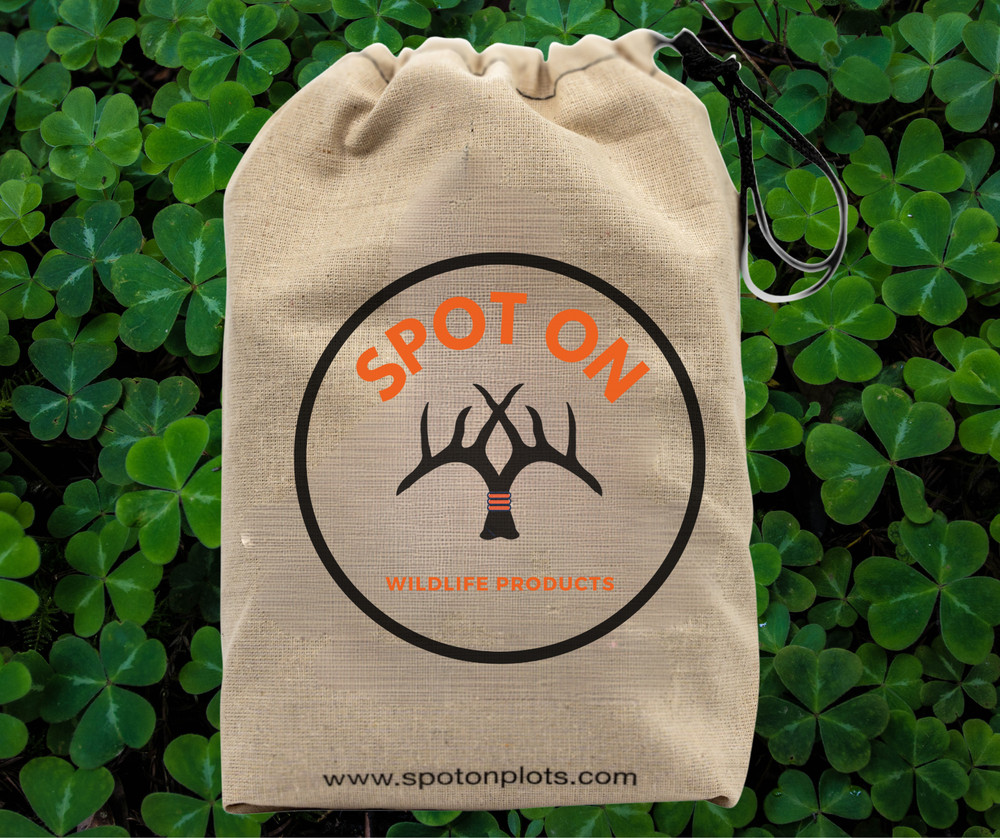 Attractive Multi-Year White Clover Food Plot Seed for Deer/turkey - Spring/Fall