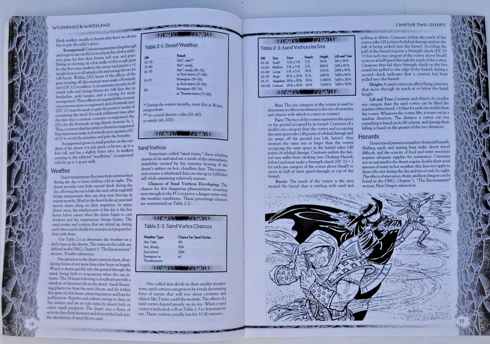 Wilderness & Wasteland. Dungeons & Dragons 3rd Ed. Compatible Source Book. VG+
