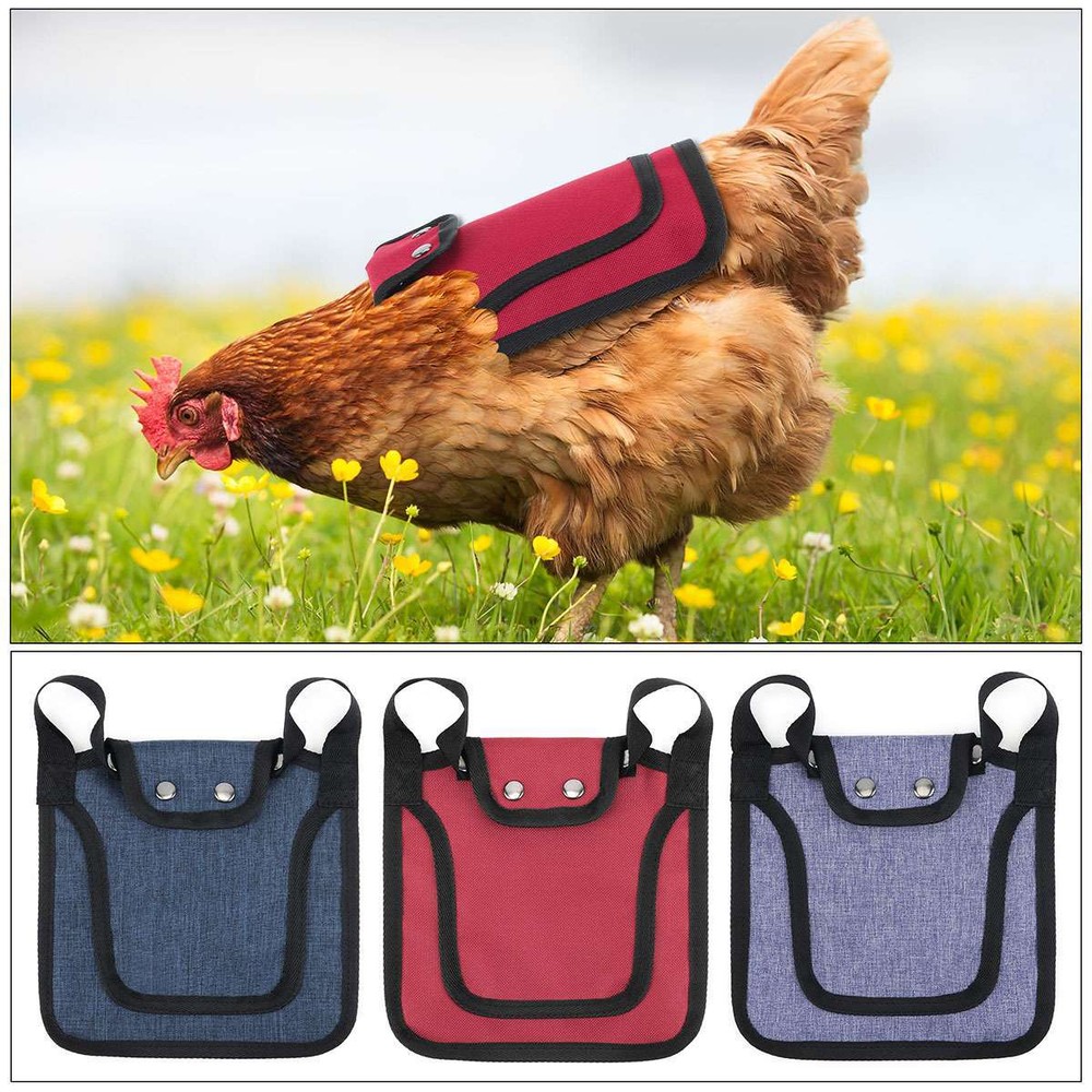 Chicken Saddle Apron Hen Back for Protection Backyard Poultry Protector