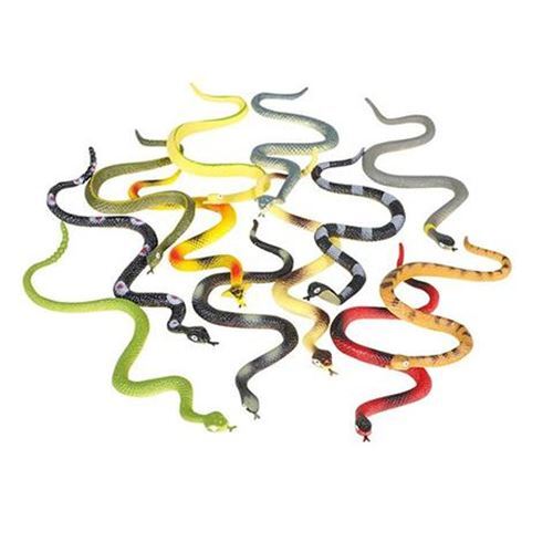Small Snake