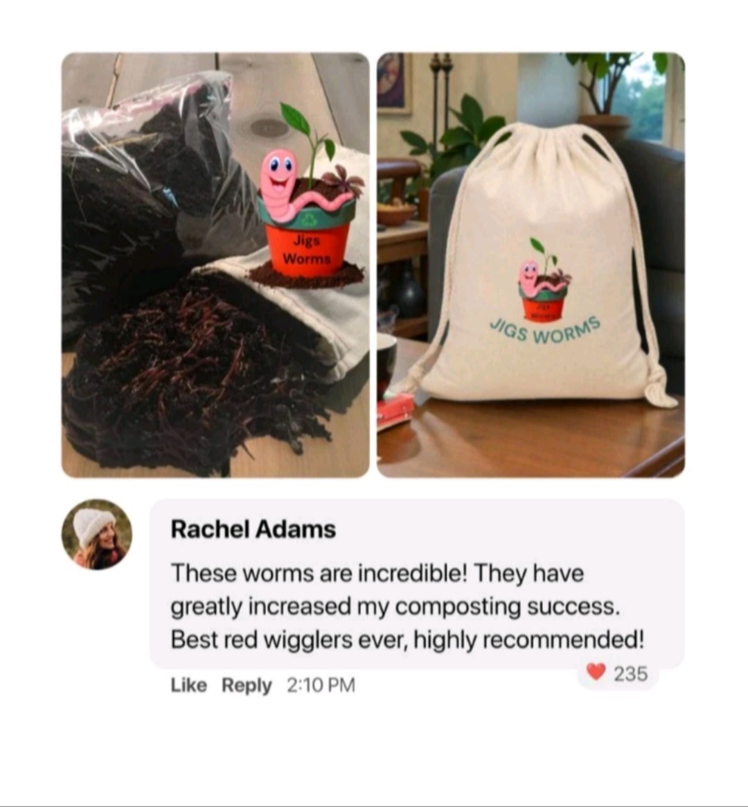 (JIGS) Live #1 Red Wigglers Composting Worm Mix, FREE SHIPPING! No Manure!