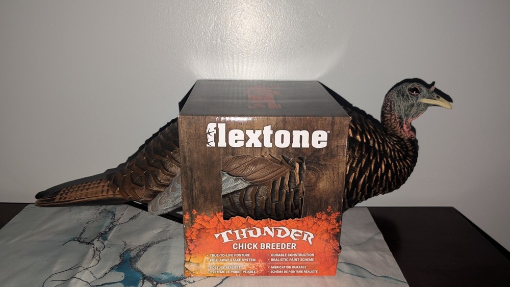 Flextone Thunder Chick Breeder FLXDY331 Free Shipping