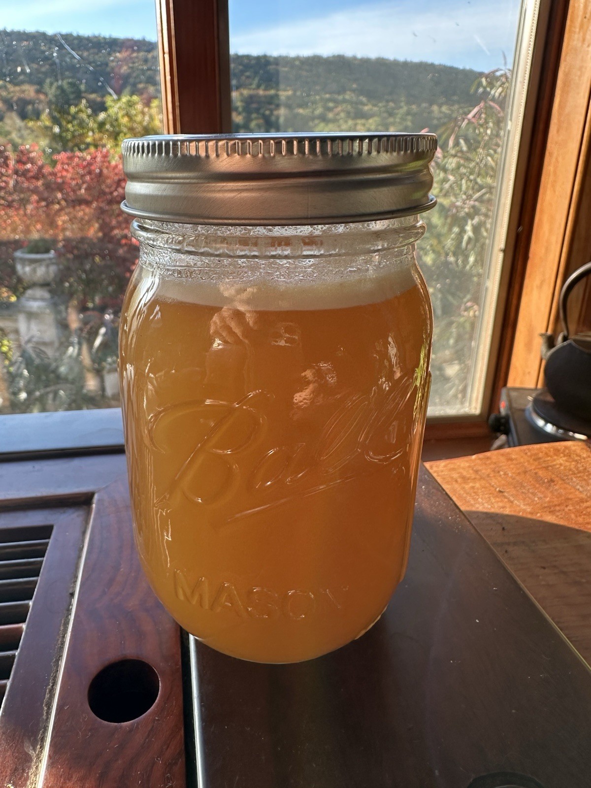 Organic 100% Pure Raw Wildflower Honey From Upstate NY