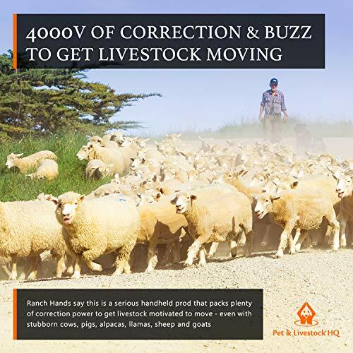 Hand Held Cattle Prod Electric Prod For Dogs Small Animals Mini Handheld Prodder