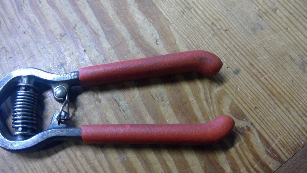 7 1/2" Needle Nose Fruit Pruners Cutters FREE SHIP