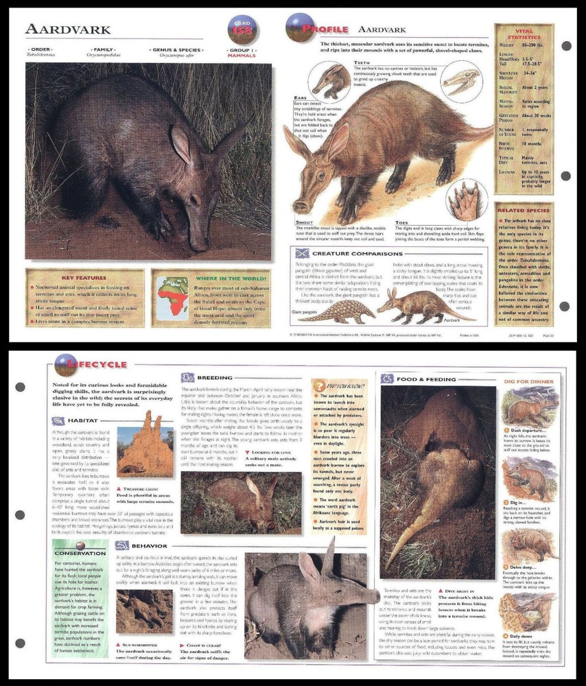 Fold-Out Sheet - Aardvark - 158