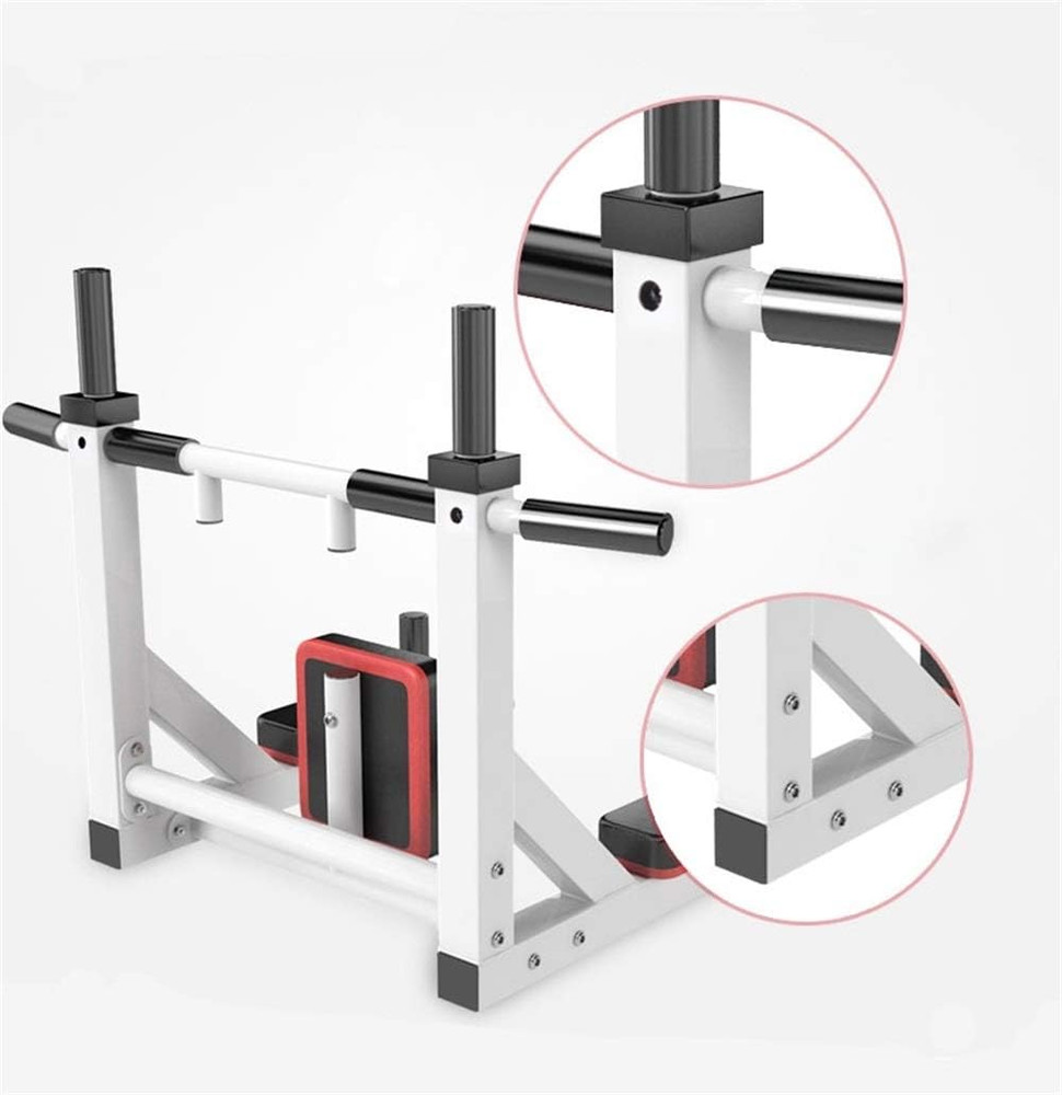 Wall-Mounted Pull-Up Bar & Dip Station 800LBS