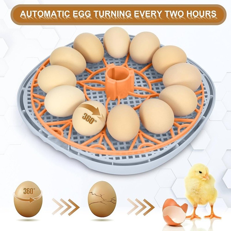 Automatic Egg Incubator 360° View High Hatch Rates Humidity Control Easy Setup