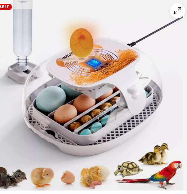 Egg Incubator with Humidity Display,LED Egg Candler,Automatic Egg Turner
