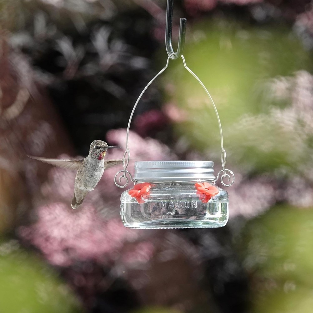 Mason Jar Hummingbird Dish Feeder, Clear
