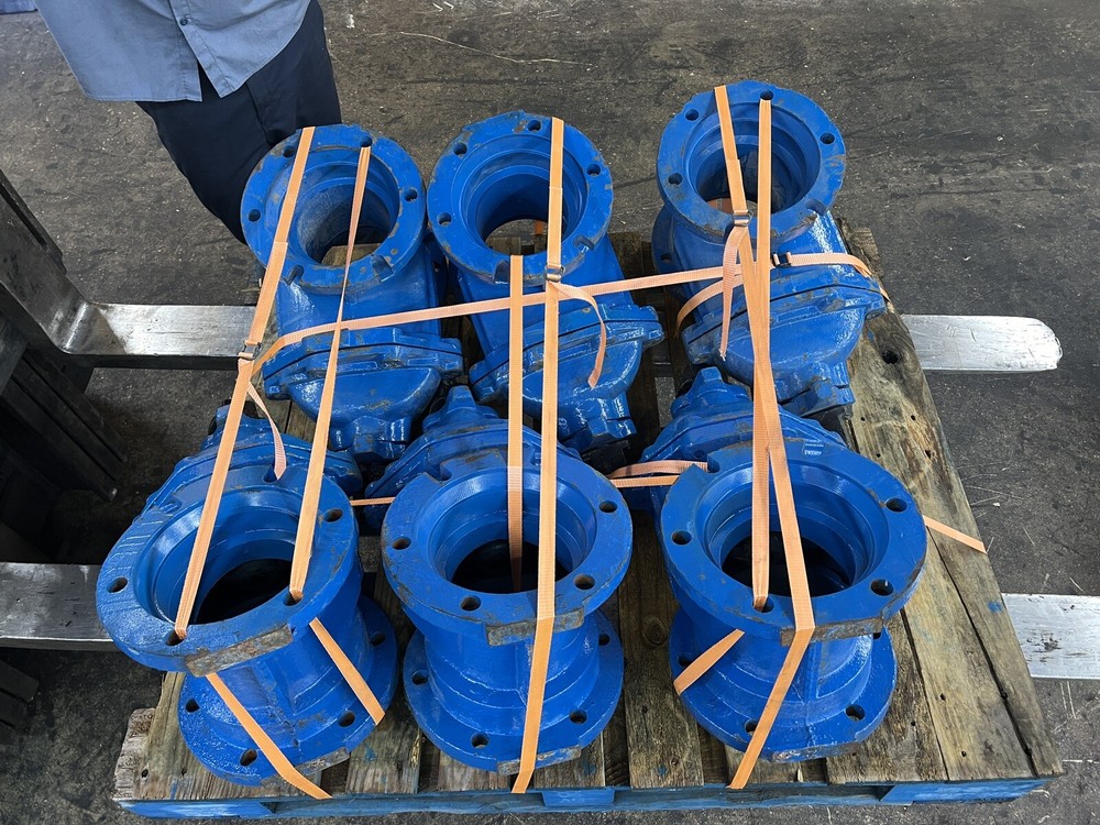 Empro C509 6" Gate Valve FOR SALE