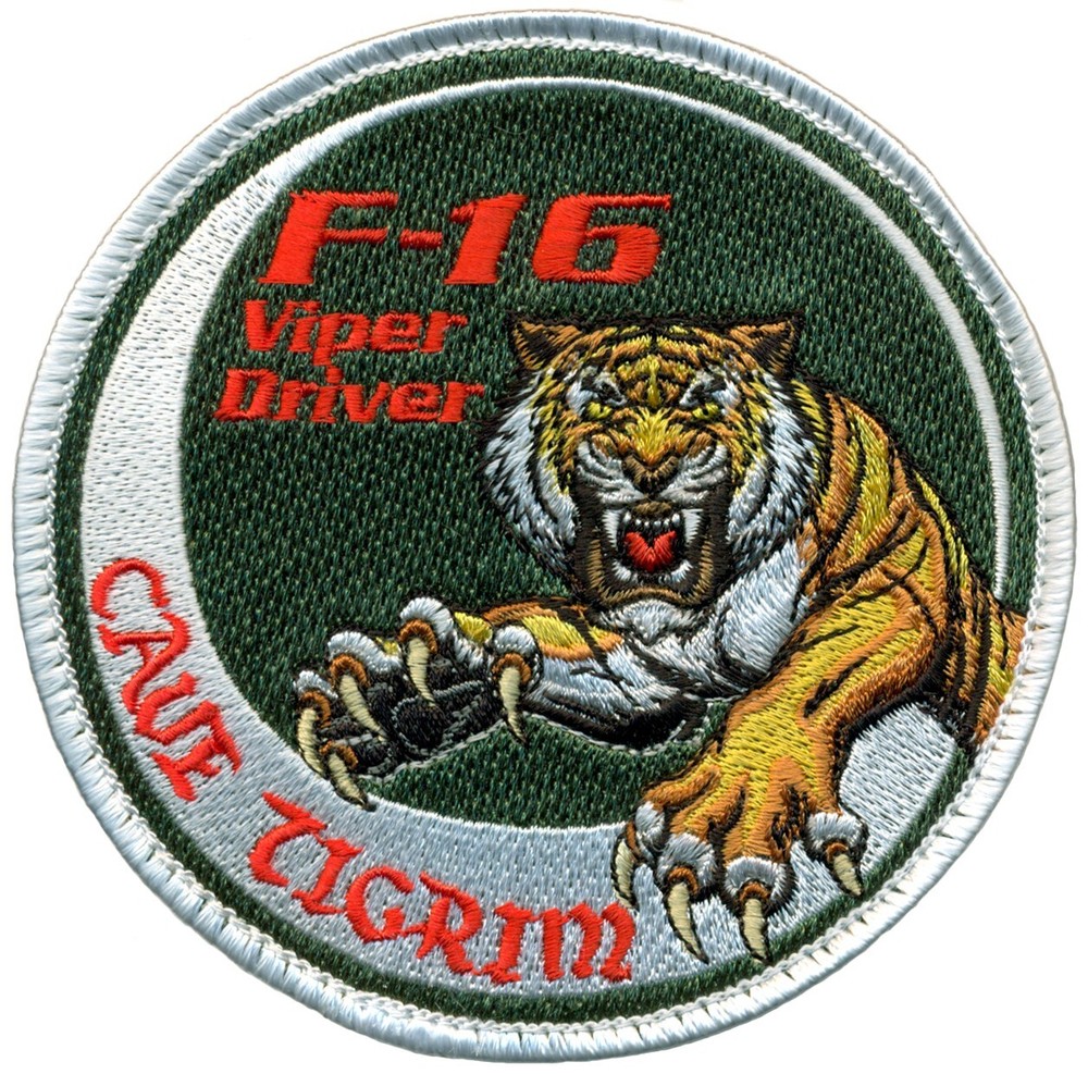 USAF 460th TES & EVALUATION SQUADRON F-16 VIPER DRIVER PATCH