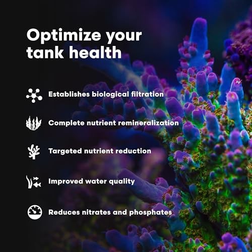 Brightwell Aquatics MicroBacter7 Complete Bioculture Assorted Sizes , Styles