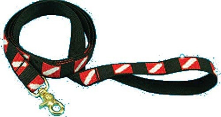 Trident 54" Medium Dive Flag Dog Leash