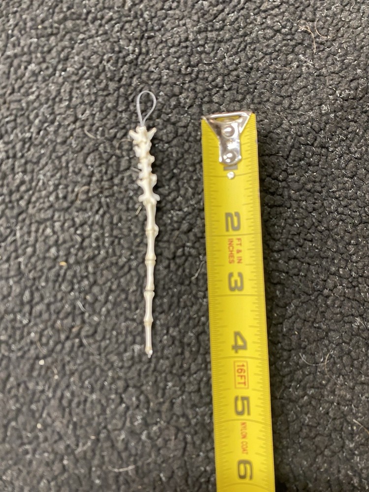 Real cleaned bobcat tail bone set, carefully strung on a fine cable for display
