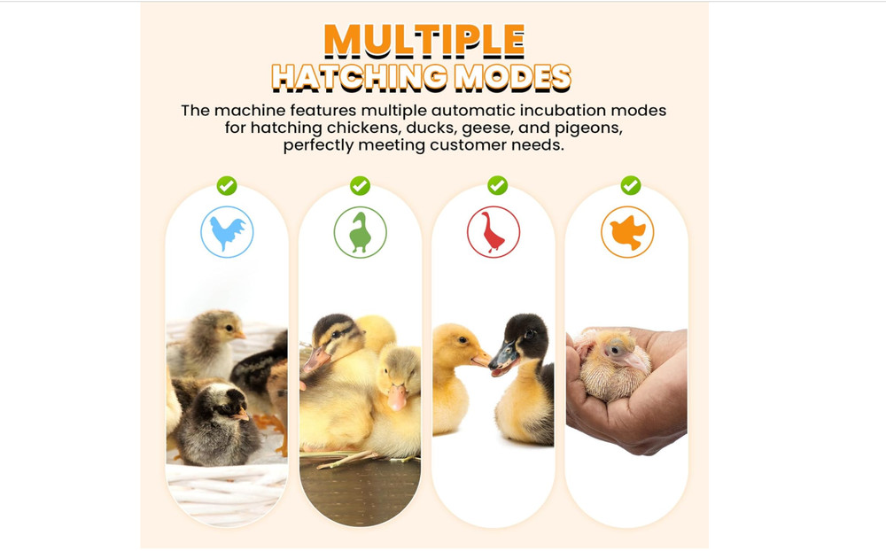 Incubators for Hatching Eggs, Egg Incubator with Automatic Egg Turning and Humid