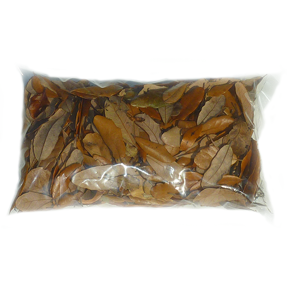 XYZReptiles Premium Live Oak Leaf Litter Isopod Substrate Terrarium Bedding