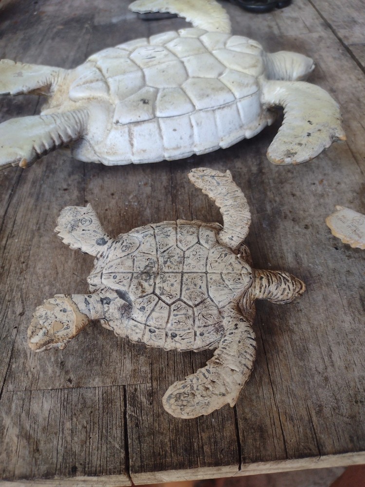 rubber turtles decor