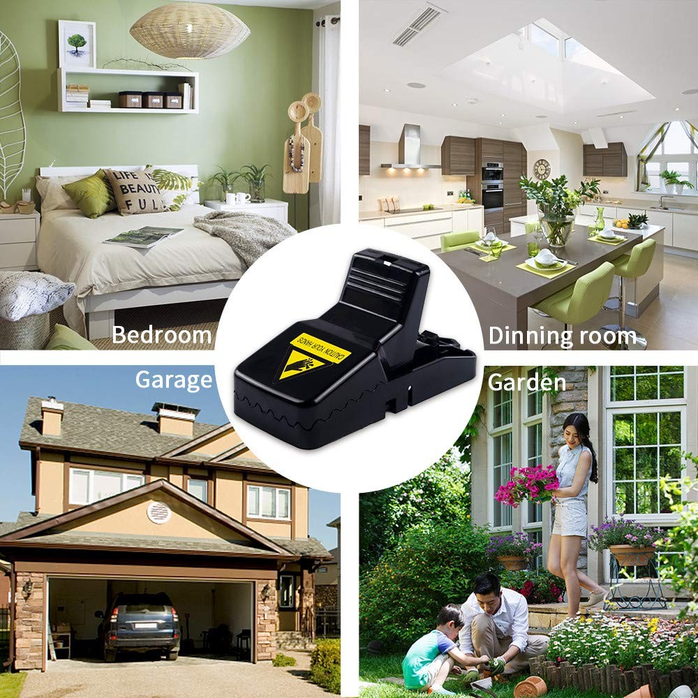 Mouse Trap, Mice Traps That Work Best Snap Traps for Small Mice and Mouse