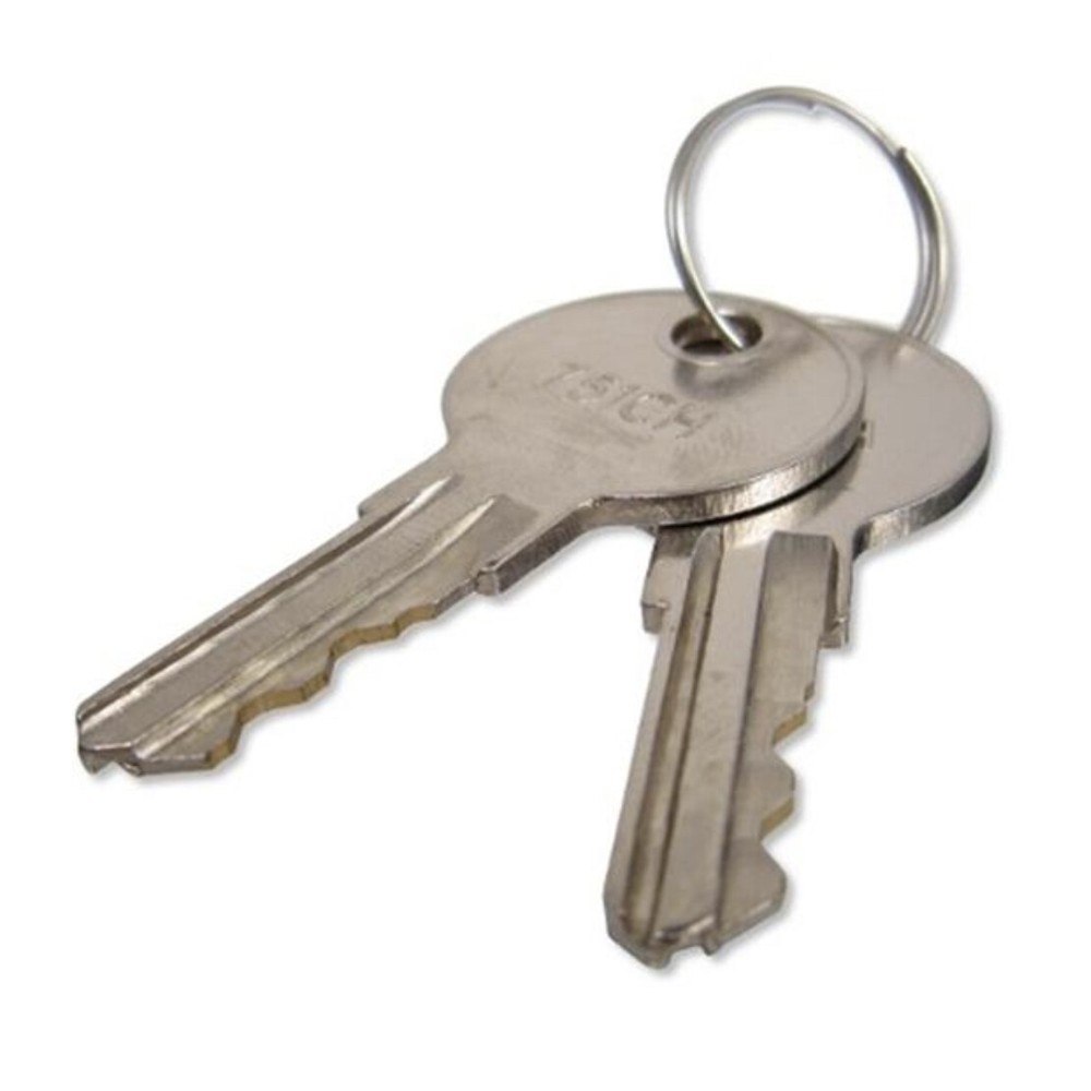 Hunter Controller Cabinet Key Set