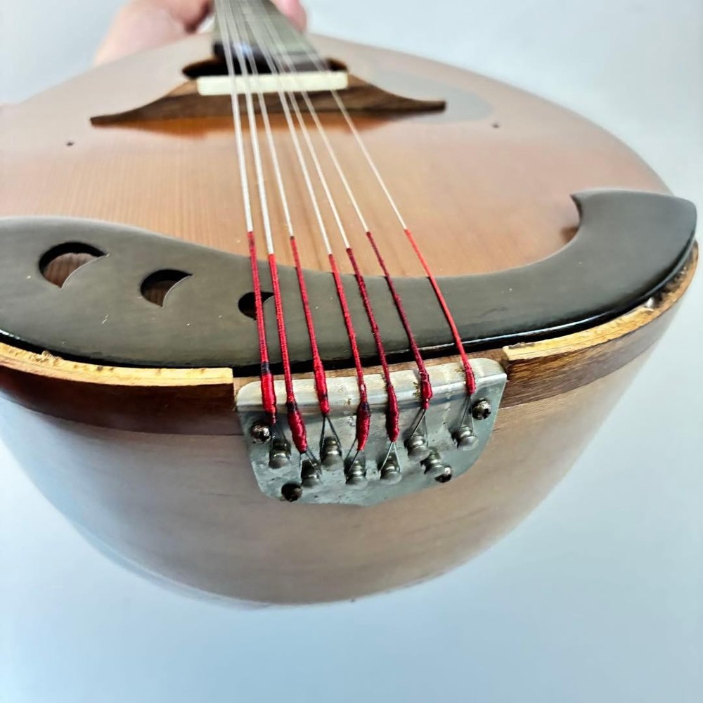 Mandolin SUZUKI M-210 Suzuki