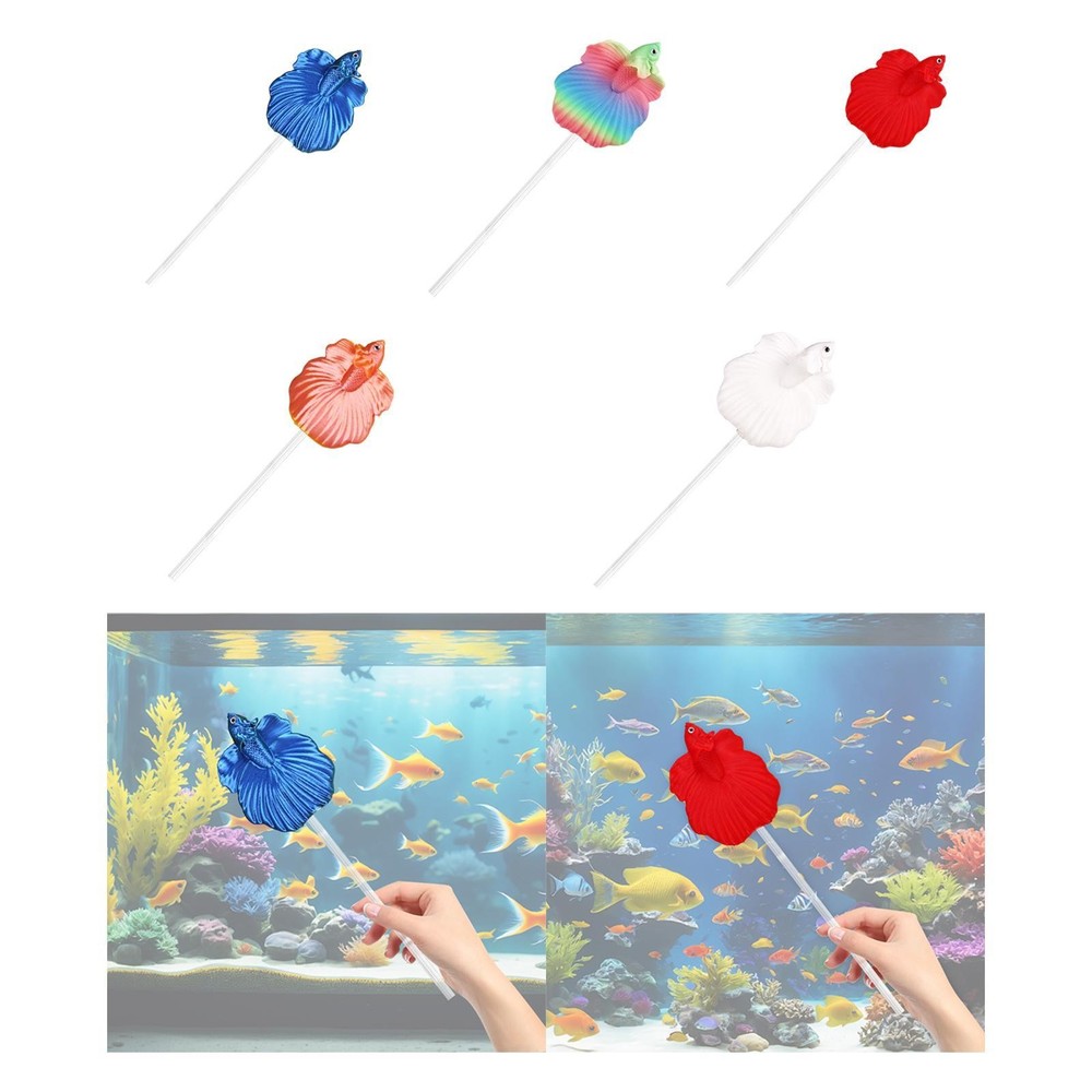 Betta Fish Training Wand Sturdy Lightweight Betta Supplies Interactive Portable