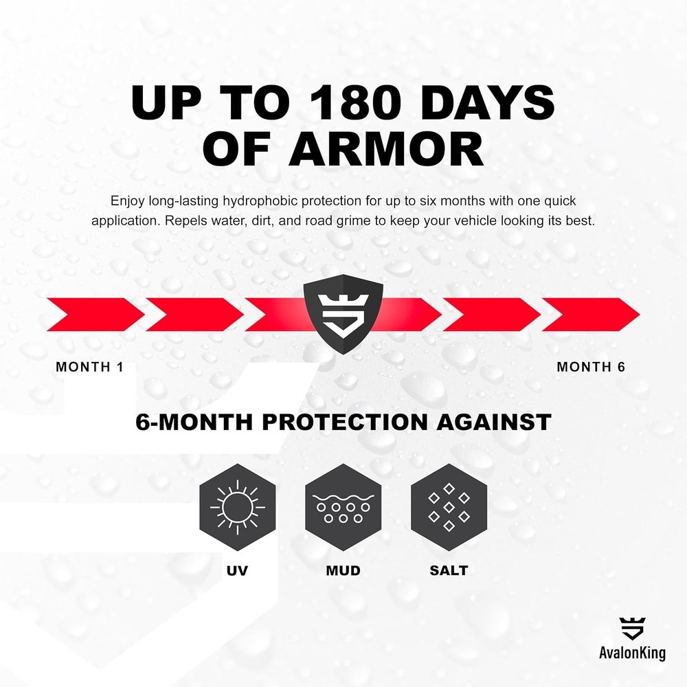 AvalonKing Armor Shield Lite Fast Ceramic Coating Spray – Ceramic Coating for