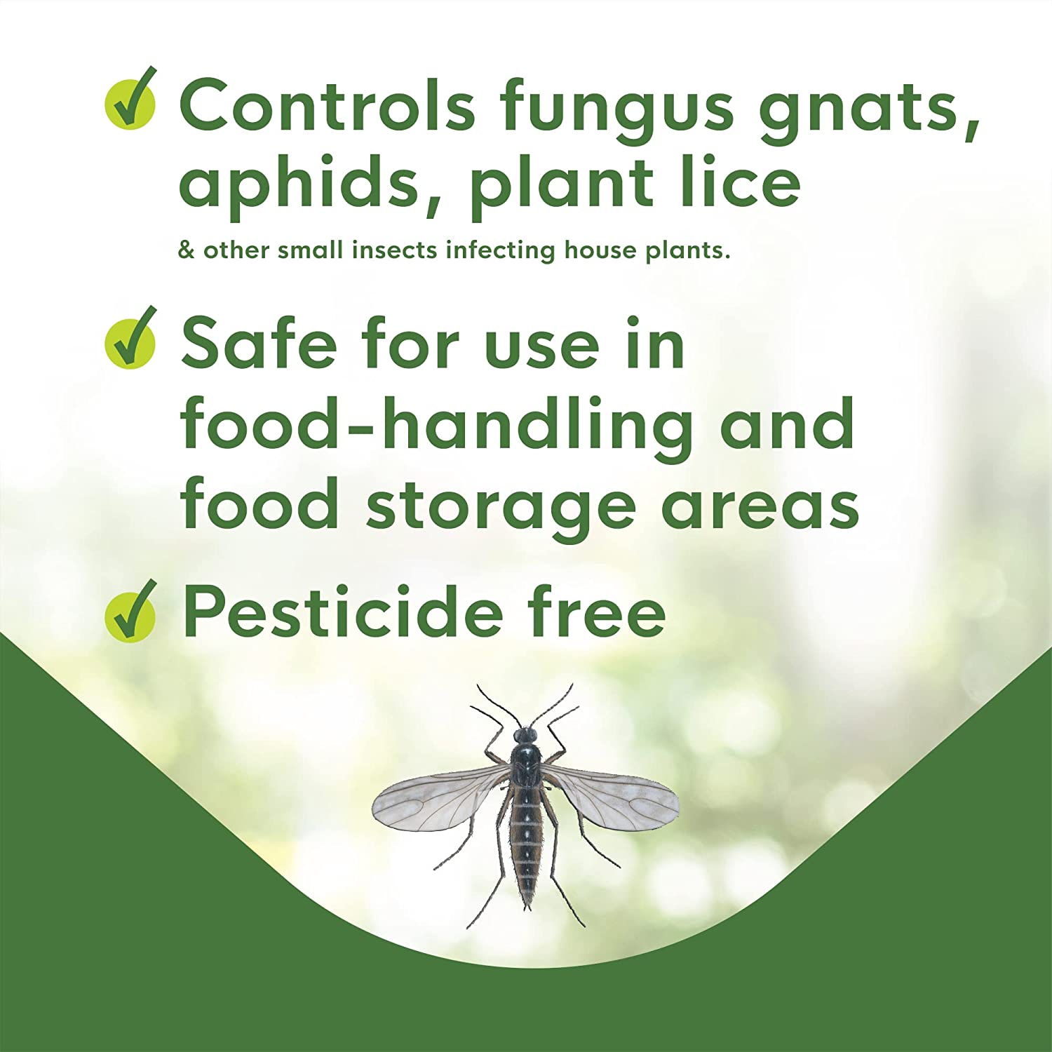 Biocare Gnat Stix for Fungus Gnats and Aphids, Pest Control for Plants and Green