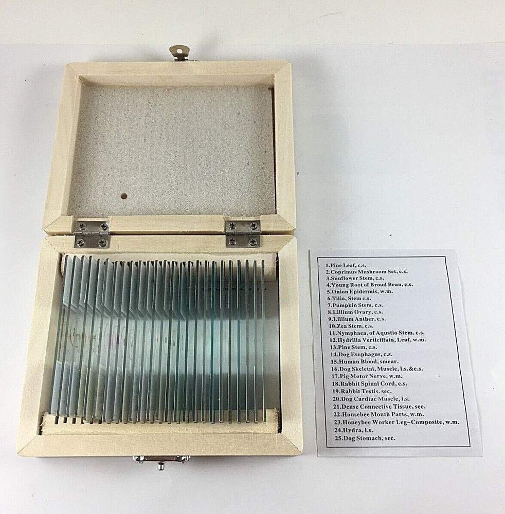 AmScope 25 Prepared Biology Microscope Slides