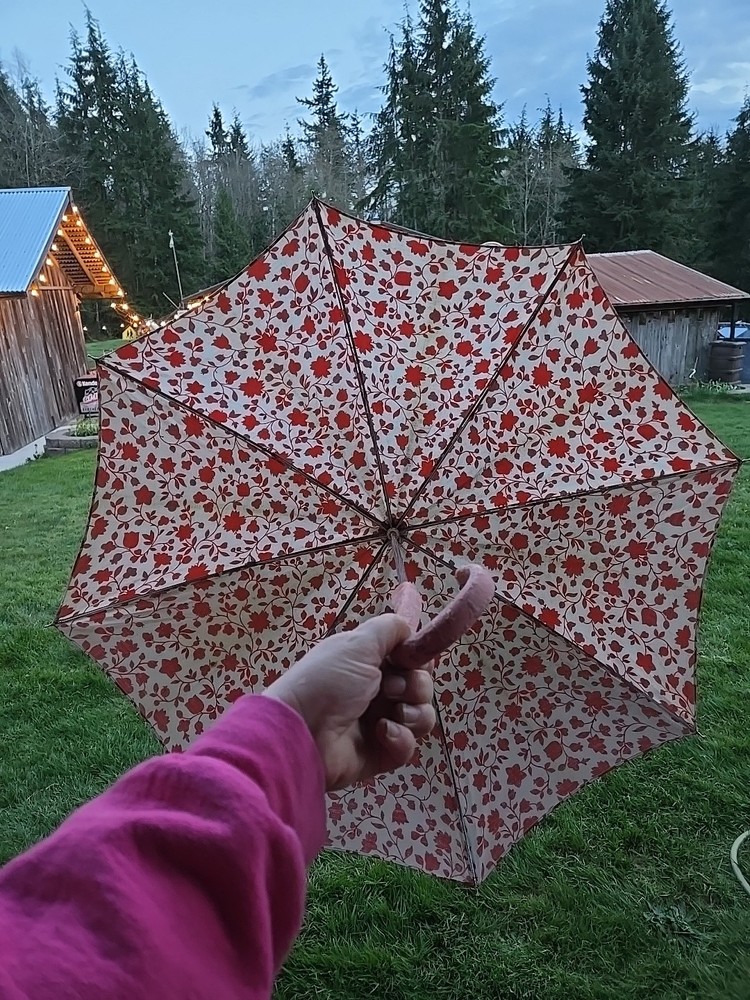 Vintage Red And White Umbrella