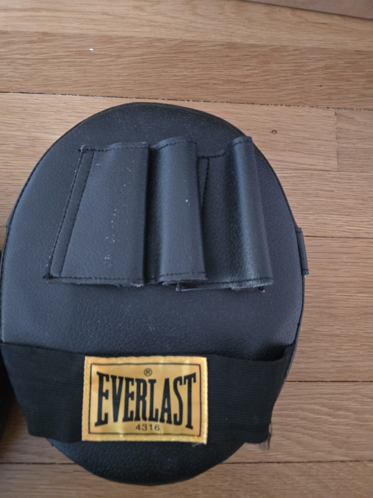 Everlast Punching Mitts